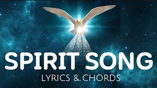 SPIRIT SONG  Guitar Cover with Lyrics amp Chords [upl. by Nomolos]