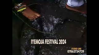 WORLD IYEMOJA AGBAYE FESTIVAL 2024 [upl. by Laon]