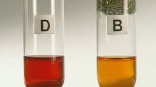 Using a hydrogen carbonate indicator to measure carbon dioxide levels [upl. by Older467]