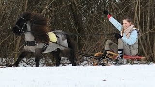 Frei im Schnee Schlittenfahren amp mehr 💗 [upl. by Selway]