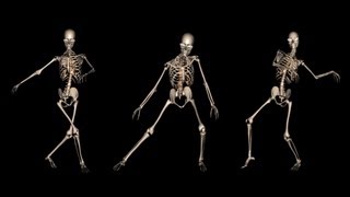 Funny Skeleton Dance I  Royalty free clip [upl. by Anitram]