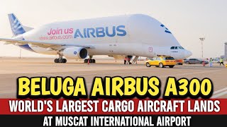 Beluga Airbus A300 First Time At Muscat Airport  worlds largest cargo plane lands in muscat [upl. by Izak]