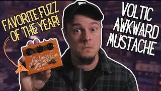 My FAVORITE Fuzz Pedal of 2024 [upl. by Paff727]