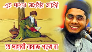 Mahmudabadi Waz  Muft shahidur rahman waz  Mufti Shahidur Rahman Mahmudabadi  Mahmudabadi BD Waz [upl. by Nylahsoj]