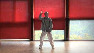 Extract of the DVD  I Jing QI Gong [upl. by Joslyn121]