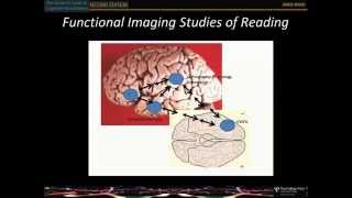 chapter 12  the literate brain 3rd edition [upl. by Caleb]