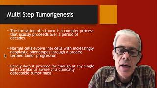 11 Multi Step Tumorigenesis [upl. by Ahseit]