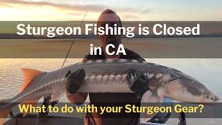 Sturgeon Fishing is Closed in CA  What to do with your Gear [upl. by Audris]