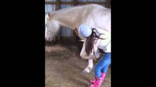 Mounting a bowing horse bareback [upl. by Kaden]