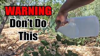 This Is Why You Should NOT Use Vinegar Weed Killer In The Garden [upl. by Suzann]