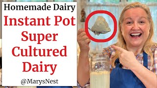 How to Make Instant Pot L Reuteri Cultured Dairy  Homemade l Reuteri Yogurt  Super Gut Yogurt [upl. by Anoyi731]