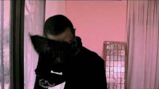 Youssou Ndour  Salagne Salagne  Clip Officiel [upl. by Aisauqal]