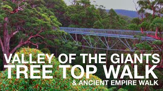 Valley of the Giants Tree Top Walk  Walpole Western Australia [upl. by Intihw]