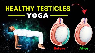 Yoga for Healthy Testicles  Add These Yoga Poses to Your Daily Routine [upl. by Ardnusal280]