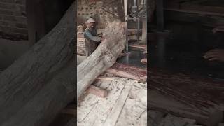 SAWMILLING THE HUGE ROOT wood woodmill carpentry woodmizer woodworking welding lumber saw [upl. by Irmo894]