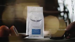 Intelligentsia Coffee  Celebration Seasonal Blend [upl. by Celesta]