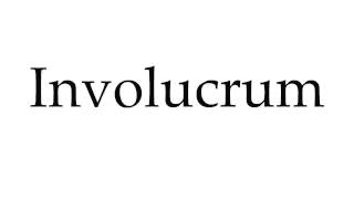 How to Pronounce Involucrum [upl. by Schumer]