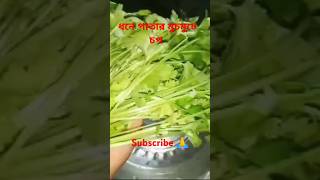 Dhone patar chop recipe 😋 cooking । [upl. by Llechtim]