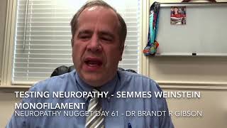 Testing Neuropathy  Semmes Weinstein Monofilament [upl. by Assirialc284]