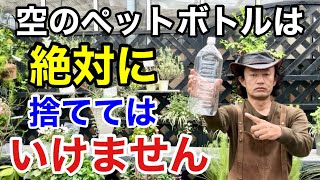 【材料費0円】 知らないと損するペットボトルの超活用法 【カーメン君】【園芸】【ガーデニング】【初心者】 [upl. by Elrahc]