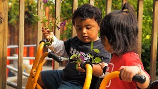 Bring Nature to Wu Yees Infant and Toddler Playspaces [upl. by Nirrek755]