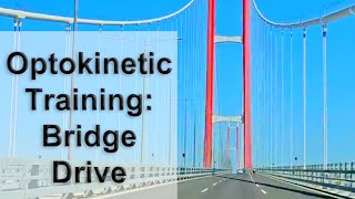 Optokinetic Training Bridge Drive Simple Suspension [upl. by Borchers831]