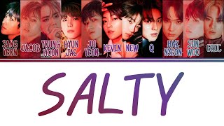 Color Coded Lyrics THE BOYZ 더보이즈  Salty HanRomEng [upl. by Eleph262]