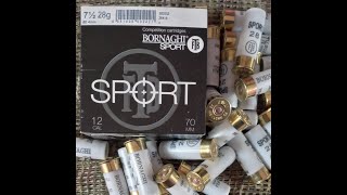 Bornaghi Sport 28  Armsan ARMTAC RSA2 [upl. by Garrard]