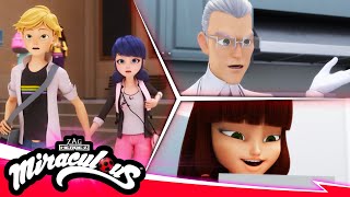 MIRACULOUS  🐞 COMPILATION 7  SEASON 5 🐾  Tales of Ladybug amp Cat Noir [upl. by Clarisa]