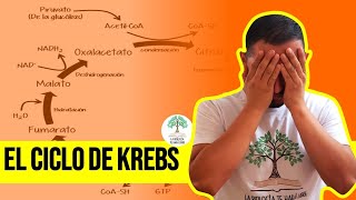 CICLO DE KREBS paso a paso 😎 [upl. by Karlene]