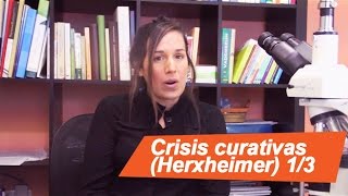 Crisis curativas Herxheimer 13  Healing Crisis Herxheimer [upl. by Yzus232]