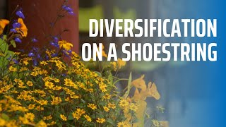 Diversification on a Shoestring [upl. by Omari340]