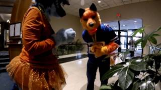 FURPOCALYPSE 2016  What is this thing [upl. by Penney821]