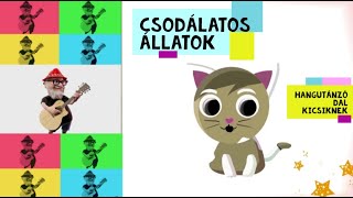 Csodálatos állatok  hangutánzó dal Dj Manó verzió [upl. by Lehteb53]