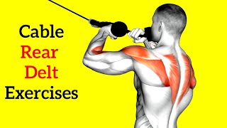 6 Best Rear Delt Cable Exercises for Bigger amp Stronger Shoulder [upl. by Regnij]