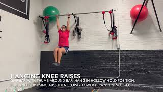 Hanging knee raises [upl. by Aihcrop]