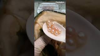 How pearls are extracted from oysters pearl chemisphere shorts [upl. by Ddal]