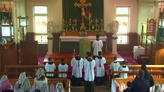 SSPXNZLIVE  Twelfth Sunday after Pentecost  11th August  Sung Mass [upl. by Eicart]