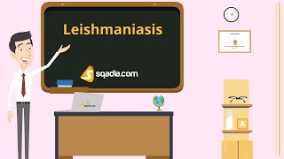 Leishmaniasis  Animation Video  Infectious Medicine  VLearning™  sqadiacom [upl. by Eelyram]