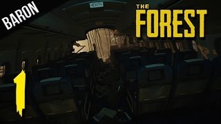 The Forest Part 1  Plane Crash Mutant Cannibals and Caves  Episode 1 [upl. by Acyre]