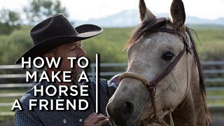 How to make a horse a friend One cowboys partnership with horses [upl. by Alejandro]