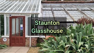 Staunton Glasshouse The largest glasshouse on the South Coast UK [upl. by Erickson149]