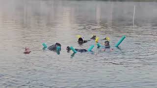 December 5 2024 630AM Swim with Manatees Tour Crystal River Florida [upl. by Jaunita]