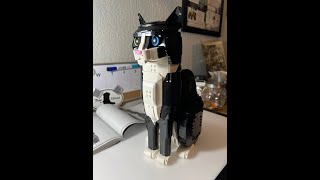 Lego Tuxedo Cat Bag 19 [upl. by Ecyarg]