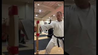 Hip rotation is key for power generation Makiwara Training Strikes off the hip karate [upl. by Acihsay]