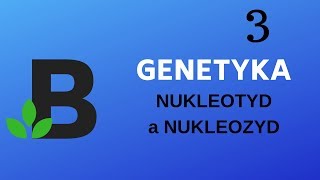 NUKLEOTYD a NUKLEOZYD  genetyka  KOREPETYCJE z BIOLOGII  189 [upl. by Edahc]