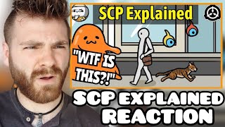 British Guy Reacts to SCP Foundation Explained SCP Animated  CONFUSED REACTION [upl. by Yhtamit372]