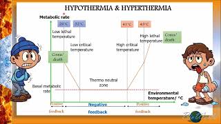 Hypothermia vs Hyperthermia [upl. by Akirrehs]