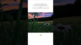 Matalabi hoja zara matalabi ❤️  Slowed and Reverb Lyrics Lofi song shorts Shorts [upl. by Ynna]