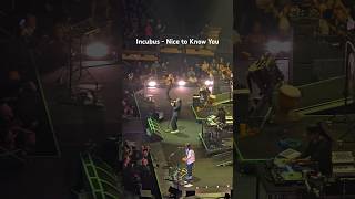 Pins and needles NICE TO KNOW YOU incubus concert rock [upl. by Enahpets]